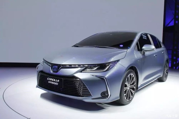 关于史蒂夫的一切