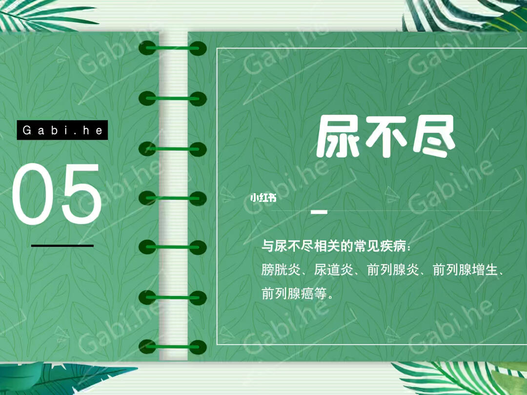 全世界最美的女孩