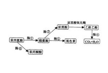 去年在马里昂巴德