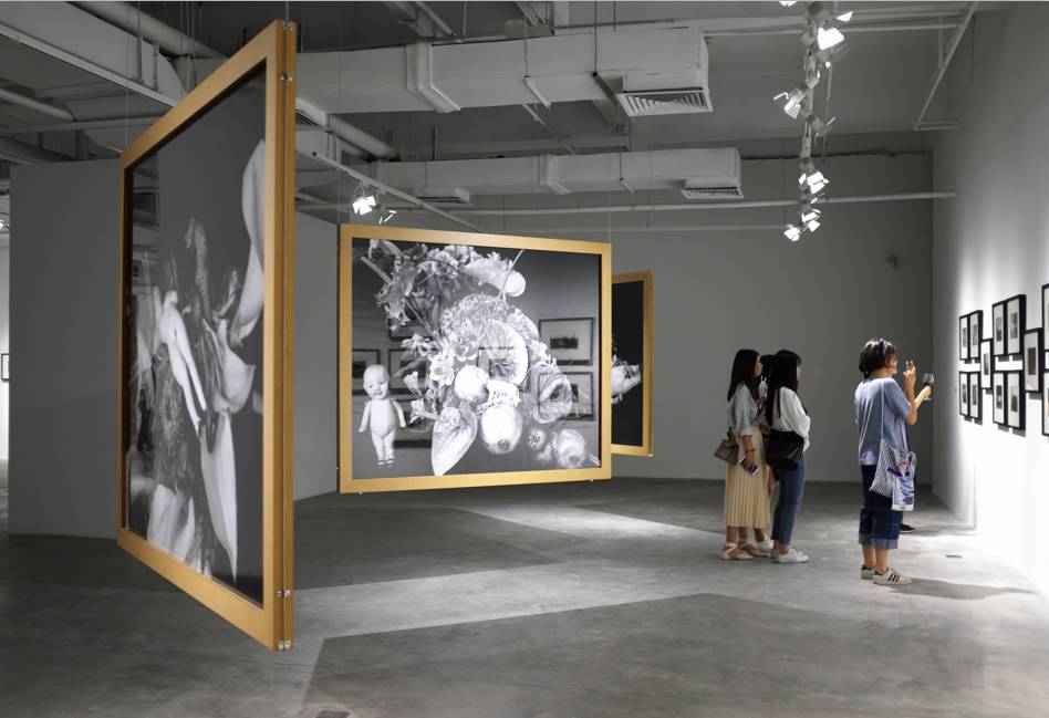 关于查理的真相