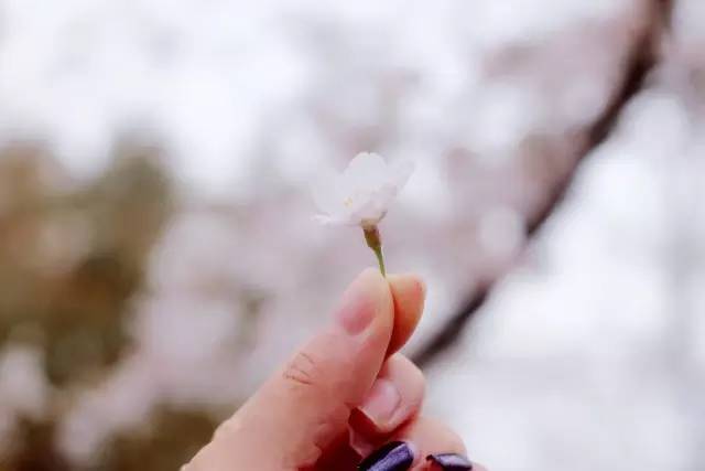 关于约会的一切