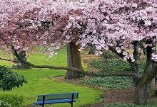 只是一次偶然的旅行