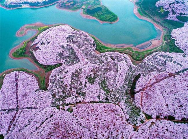 在星际间遇见你