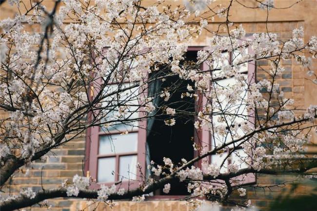 八步半喜怒哀乐(粤语版)