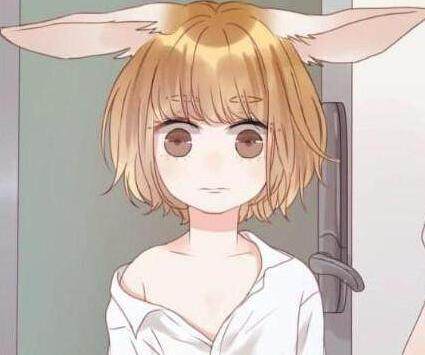 关于史蒂夫的一切