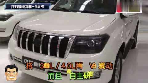 凤归梧桐（国语版）