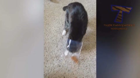 再见美人鱼（上部）