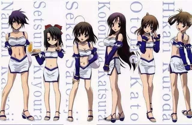 凯利帮的真实历史