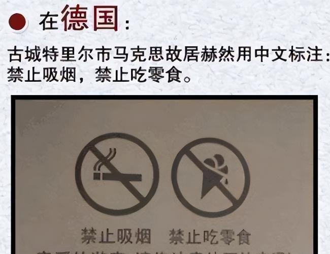 印度刺客：萨达尔·辛格