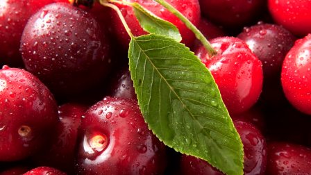 回魂夜（粤语版）