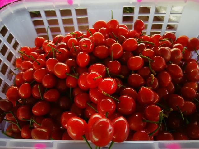 六扇门之血手奇谭