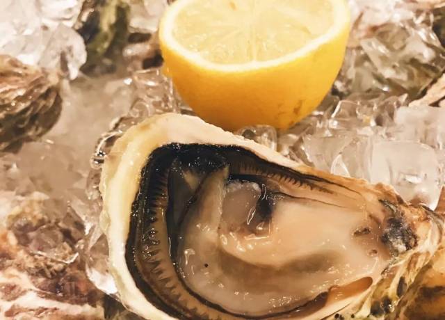 哥斯拉：决战之都