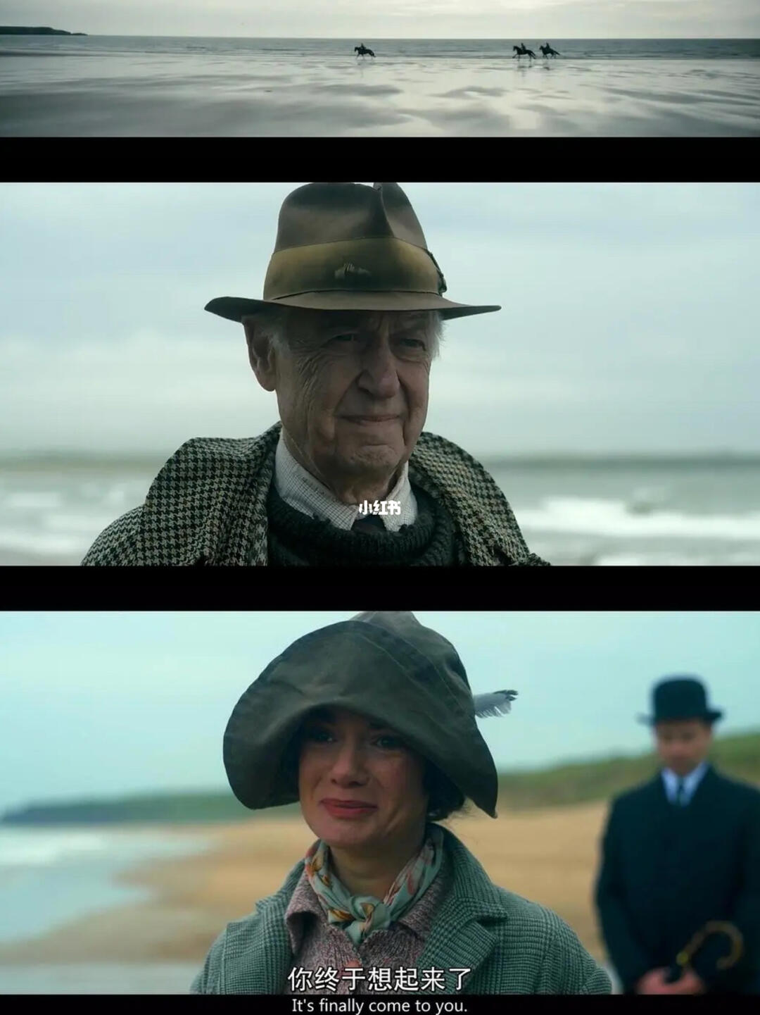 光荣之路上的狗