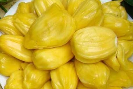 关于我和鬼变成家人的那件事