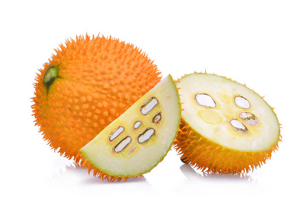 关于我和鬼变成家人的那件事