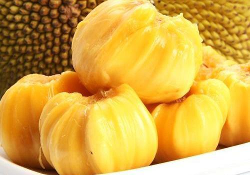 哆啦A梦：大雄的月球探险记