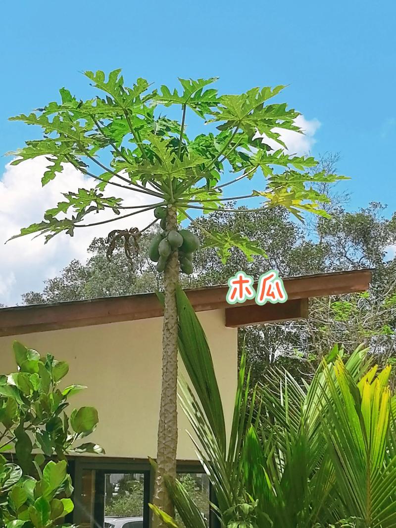 再见我们的十年