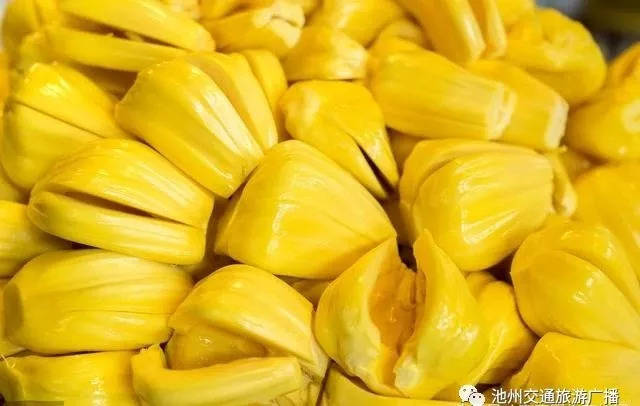 全息游戏：恋爱世界