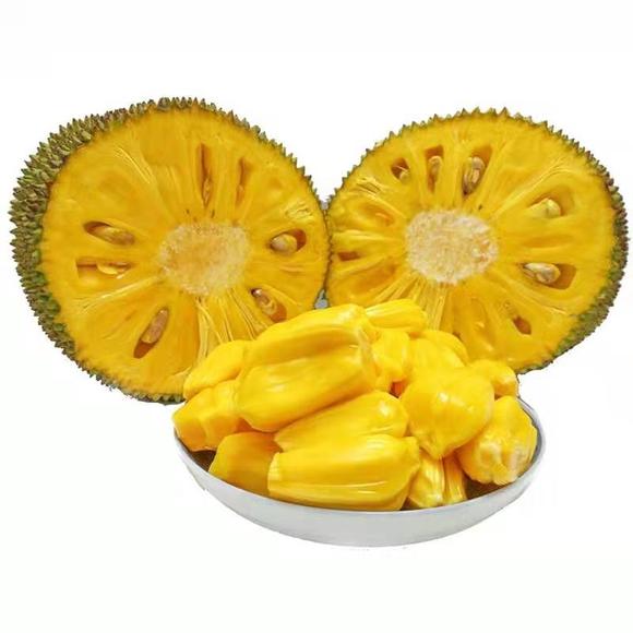 哆啦A梦：大雄与银河超特急