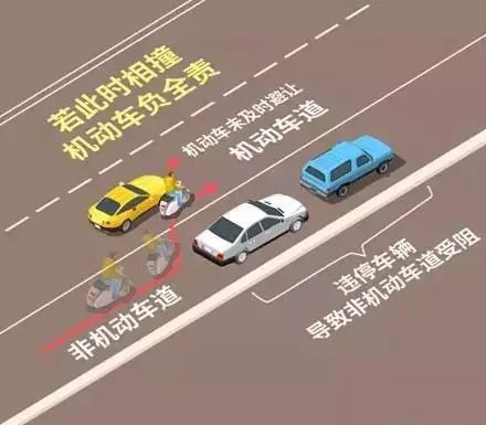 光荣之路上的狗