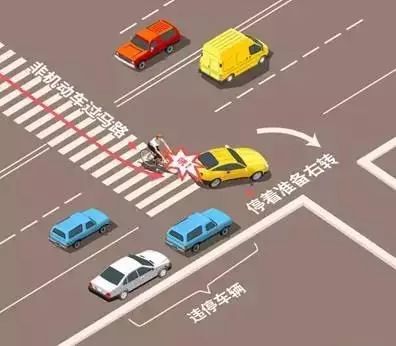 光荣之路上的狗